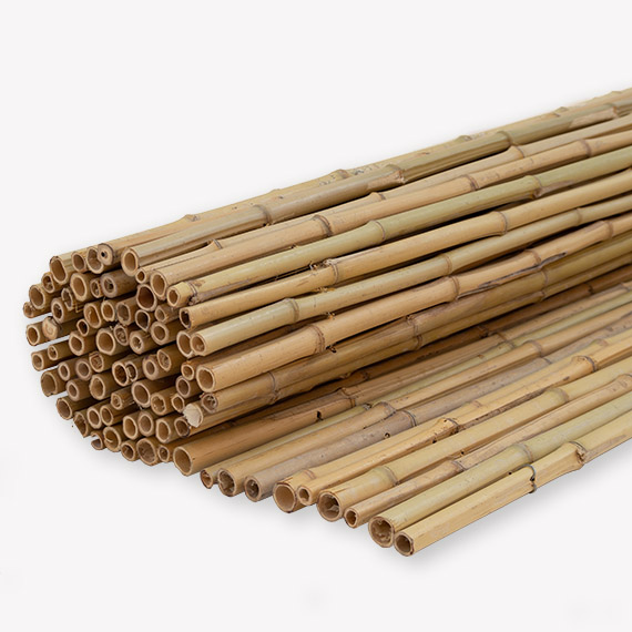 Vlak Handboek baas Tuinscherm bamboemat gelakt - Deuren, schermen en planken